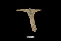 藏品(丁蠣)的圖片